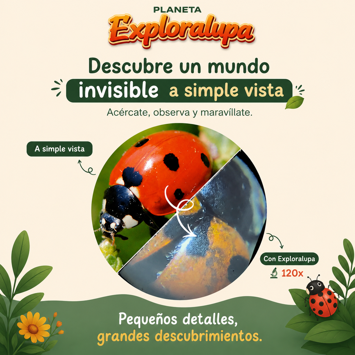 Microscopio-de-bolsillo-para-pequenos-exploradores